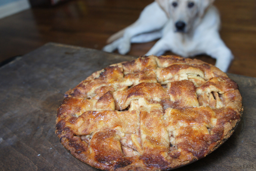 Gluten-Free Apple Pie